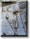 2010-12-26-ATTON-LA NEIGE-035.jpg